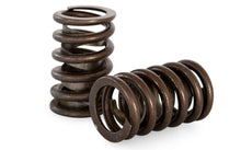 Load image into Gallery viewer, Kelford V8 Valve Single Spring Set KVS4843