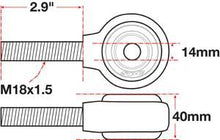 Load image into Gallery viewer, Photo - Primary