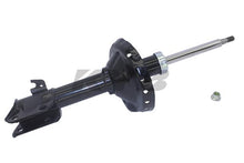 Load image into Gallery viewer, Photo - Primary