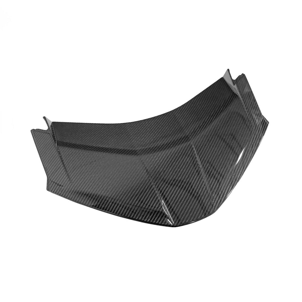 Carbon Fiber Rear Lower Hatch Panel - C8 Corvette