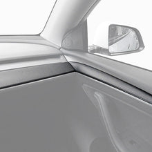 Load image into Gallery viewer, Fabspeed Tesla Model 3 Carbon Fiber Dashboard + Door trim