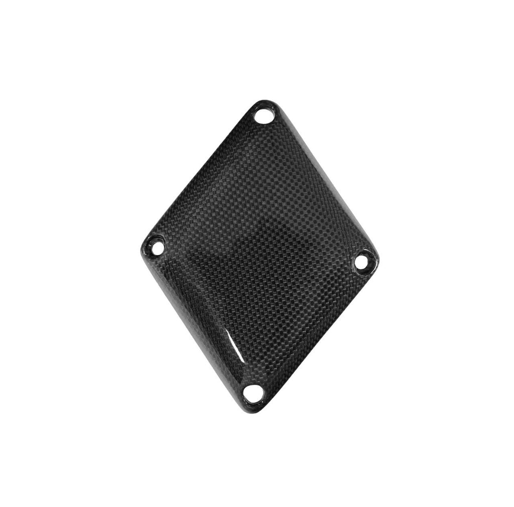 Carbon Fiber Engine Intake Compensation Panel - Ferrari  360