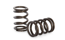 Load image into Gallery viewer, Kelford Formula Ford Valve Spring Kit KVS401