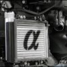 Load image into Gallery viewer, Photo - Primary