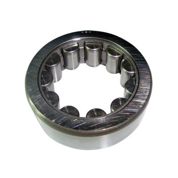 Dodson GR6 INPUT SHAFT END BEARING
