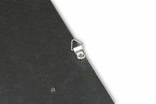 Load image into Gallery viewer, Fabspeed Carbon Fiber Wall Art - Audi