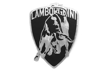 Load image into Gallery viewer, Fabspeed Carbon Fiber Wall Art - Lamborghini