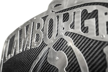 Load image into Gallery viewer, Fabspeed Carbon Fiber Wall Art - Lamborghini