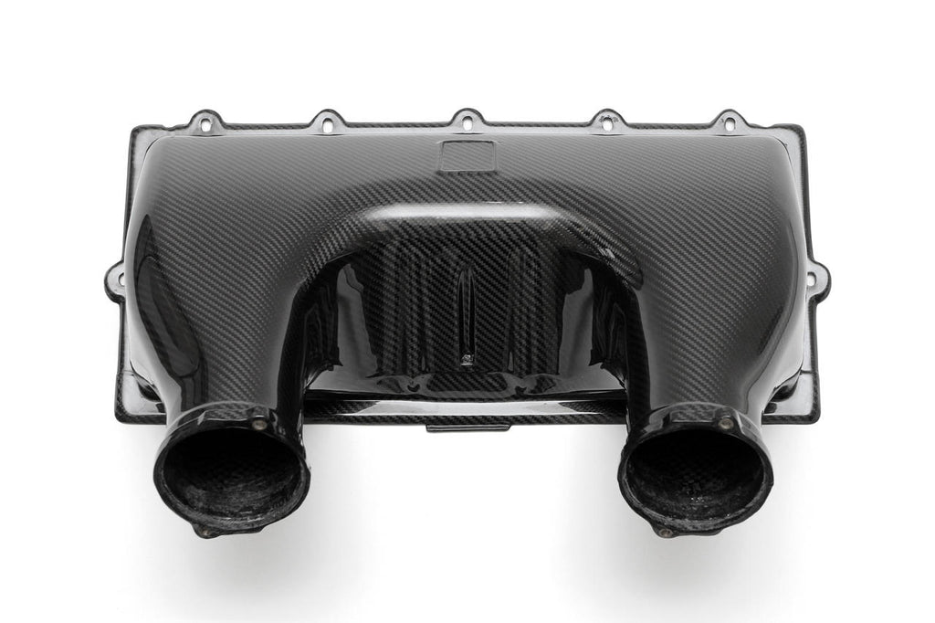 Fabspeed Ferrari 458 Italia Carbon Fiber Airbox Cover (2010-2015)